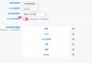 WordPress子比主题添加USDT插件:全面启用USDT支付功能-契合资源网